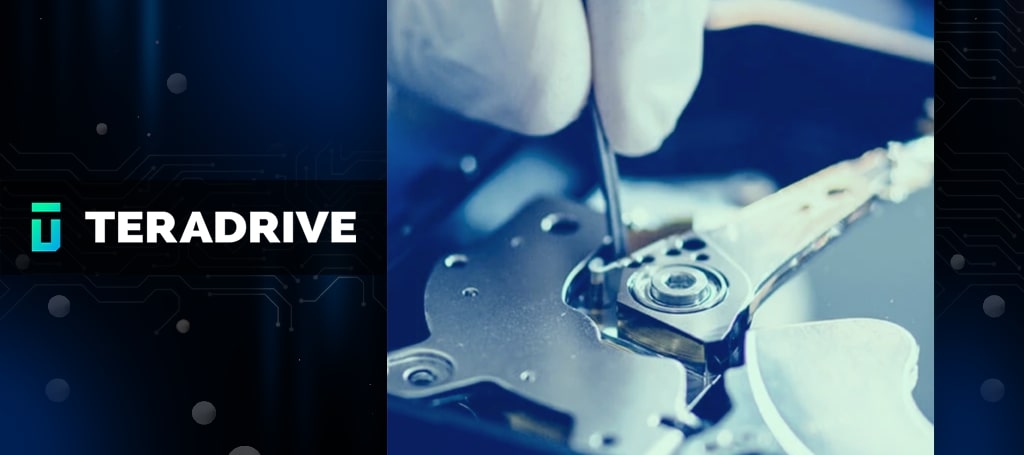 TeraDrive Data Recovery