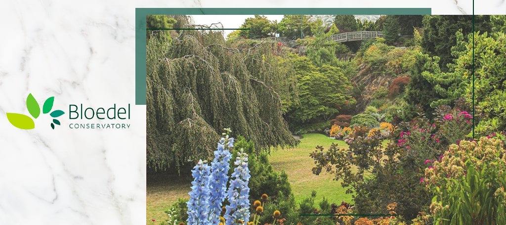 Bloedel Conservatory