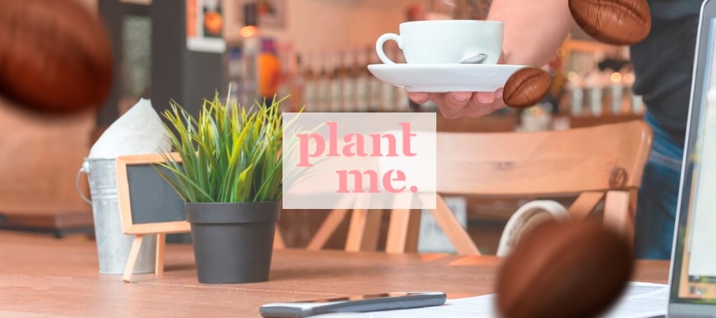 Plant Me