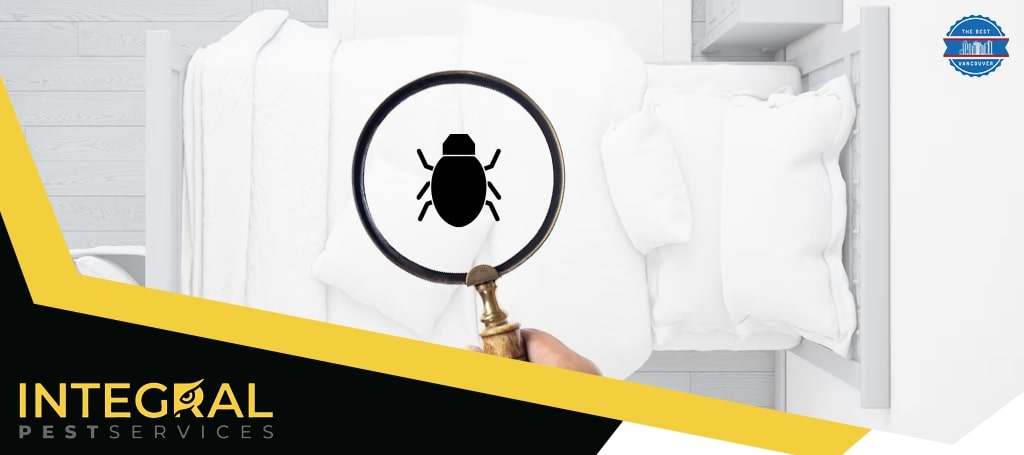 Integral Pest Services