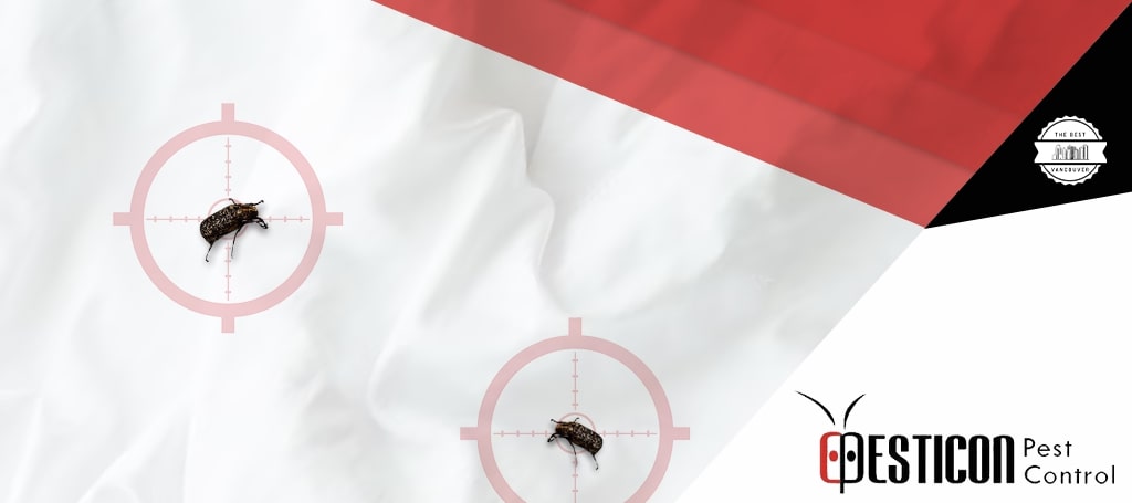 PESTICON Pest Control Vancouver