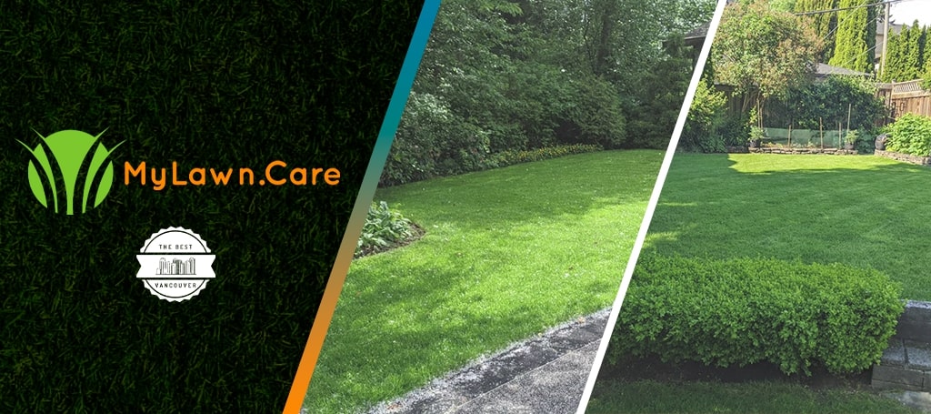 MyLawn.Care