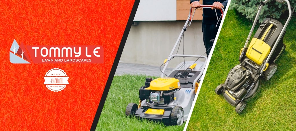 Tommy Le – Lawn Mowing, Lawn Care and Landscape Services