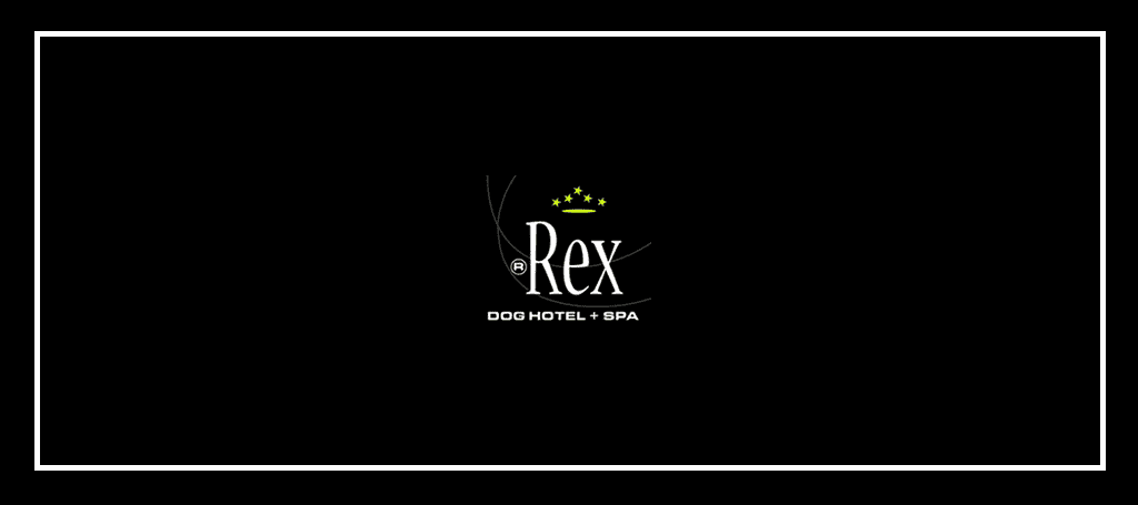 Rex Dog Hotel + Spa's Banner