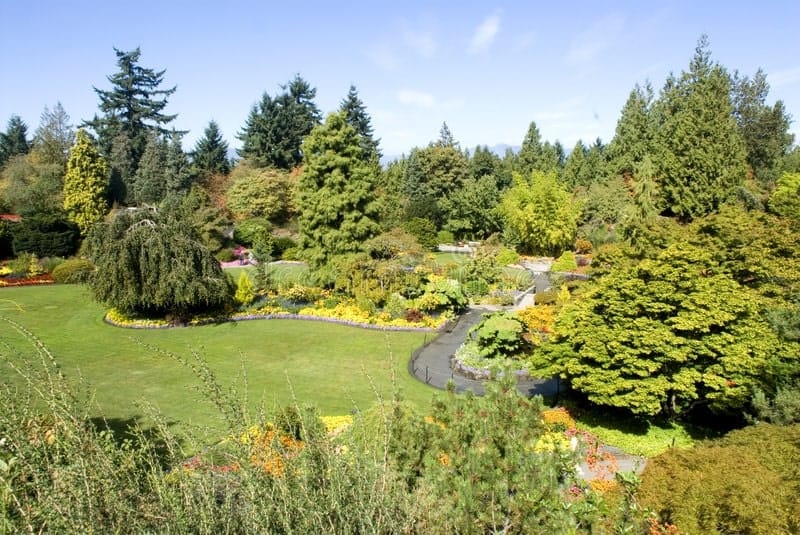 Explore the Gardens at Queen Elizabeth Park