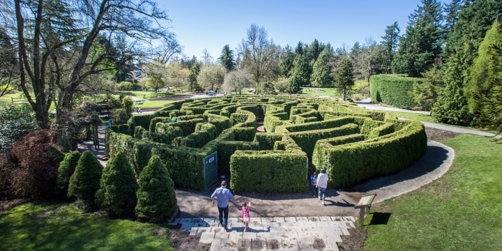 Explore the VanDusen Botanical Garden