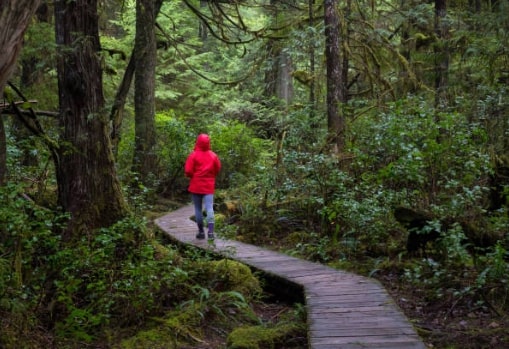 Hike the Juan de Fuca Marine Trail