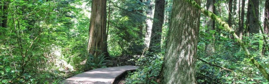 Pacific Spirit Regional Park