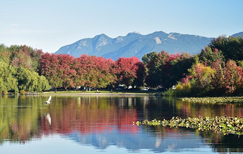 John Hendry (Trout Lake) Park