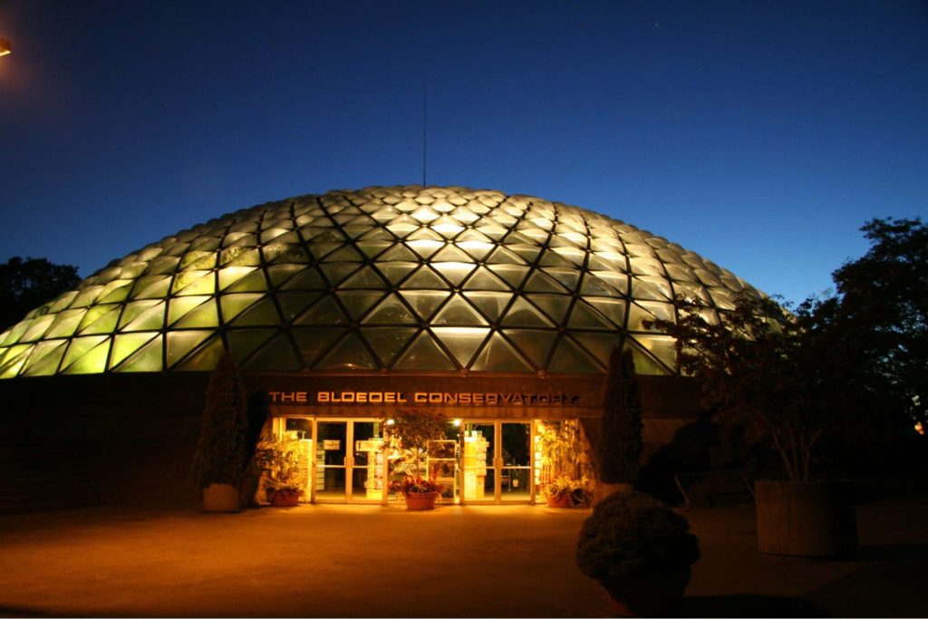 Check out the Bloedel Conservatory