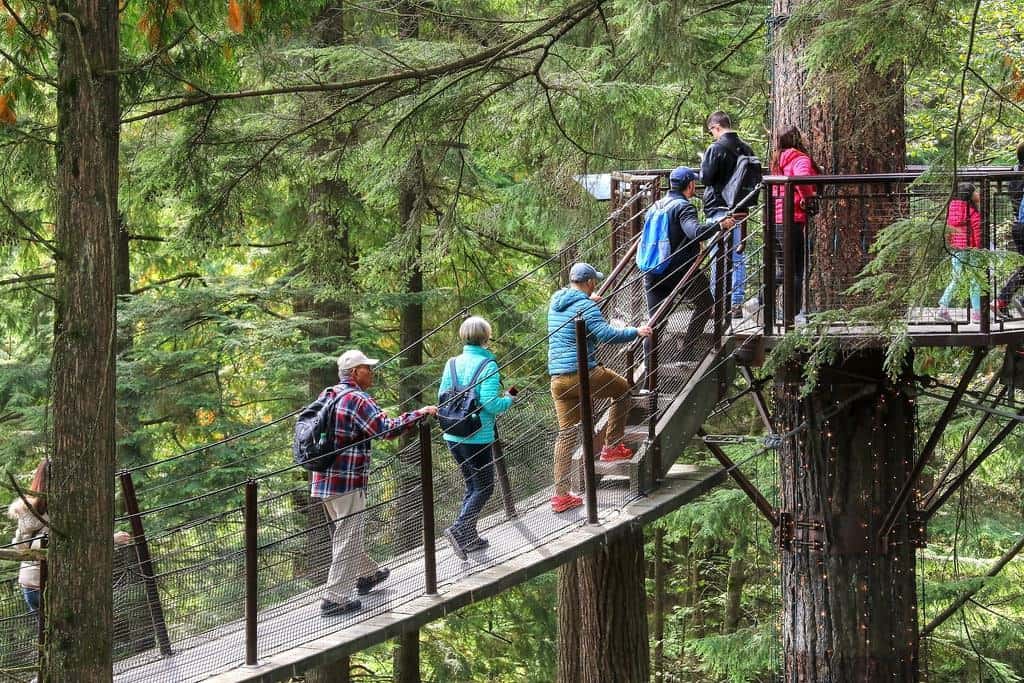 Spend a day at the Capilano Suspension Bridge Park