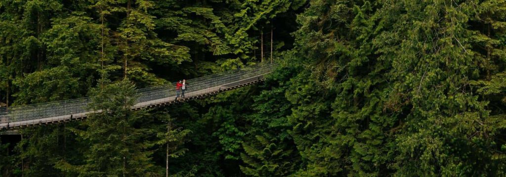 Spend a day at the Capilano Suspension Bridge Park