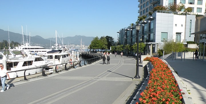 Wander around Coal Harbour