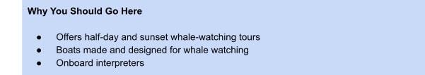 Whale Watching Tour