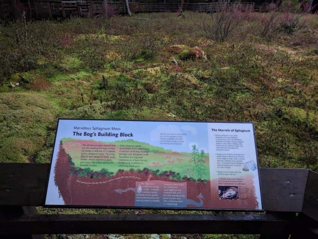 Camosun Bog