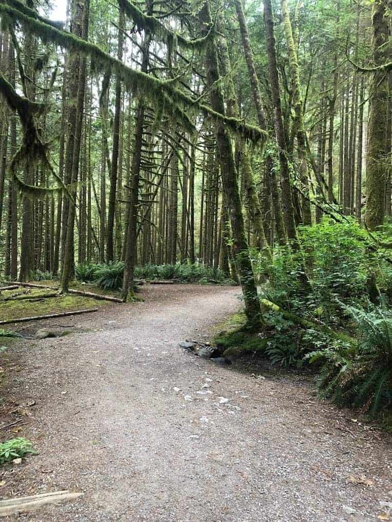 Capilano Canyon