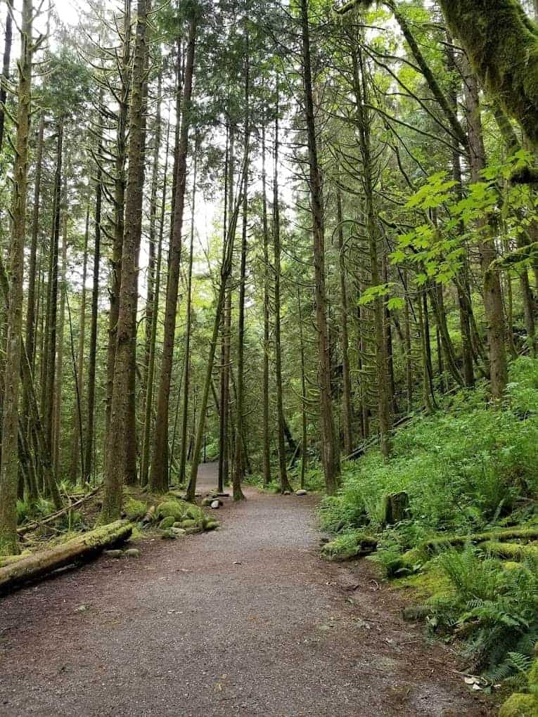 Capilano Canyon