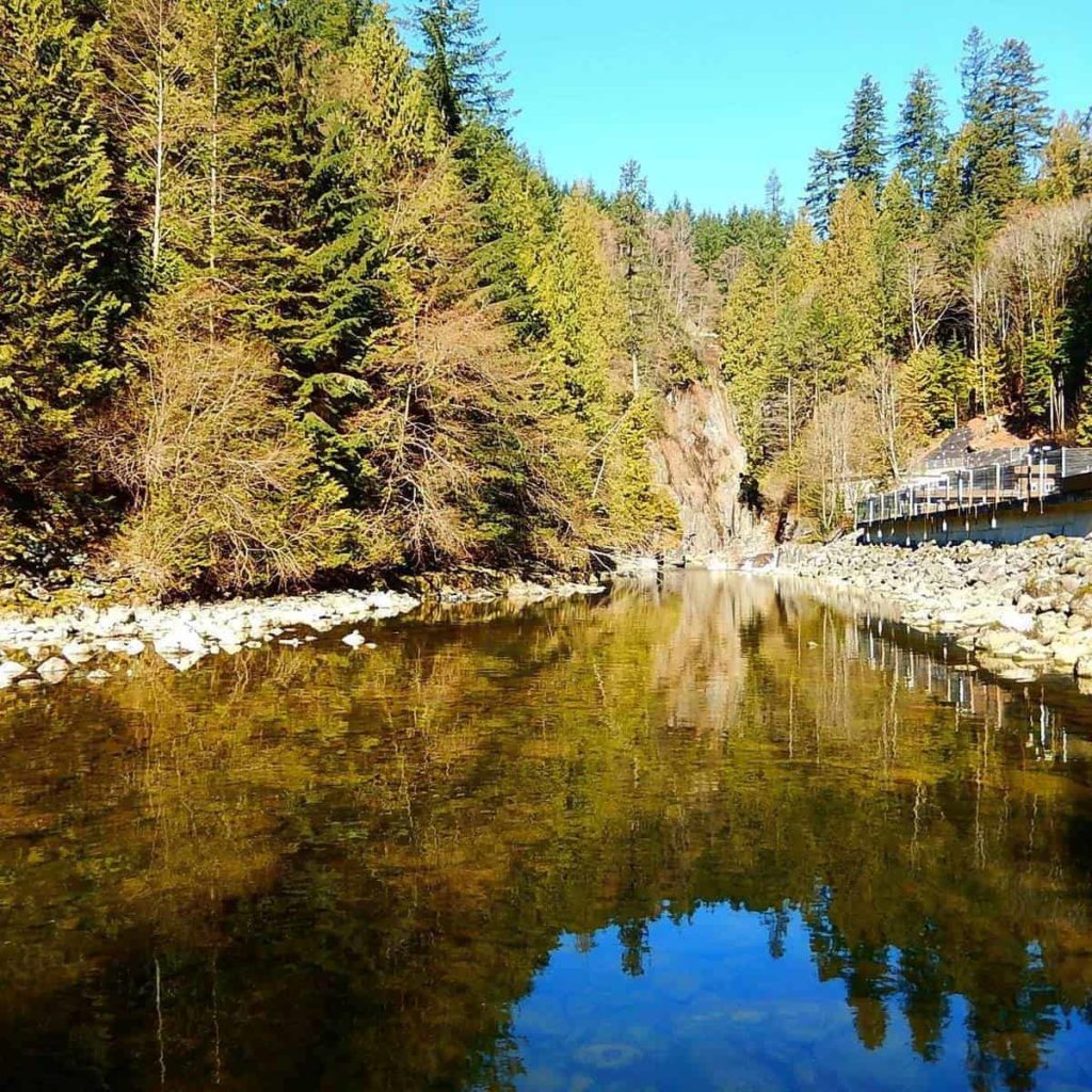 Capilano Salmon Hatchery