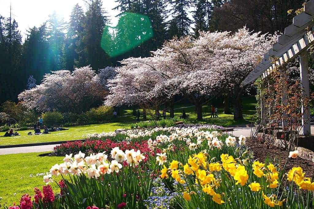 Drop by the Stanley Park Gardens