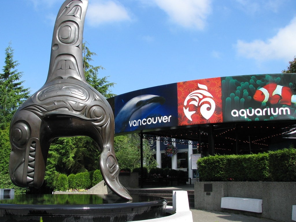 Explore the Vancouver Aquarium