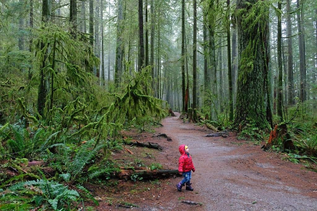 Hyannis Trail