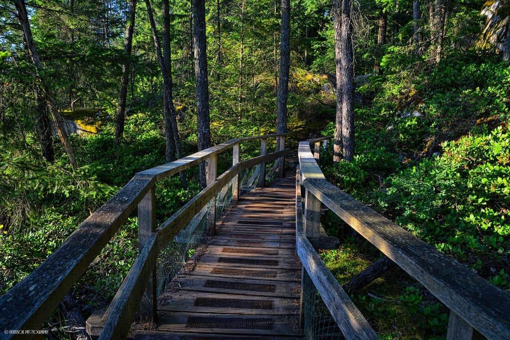 Lighthouse Park