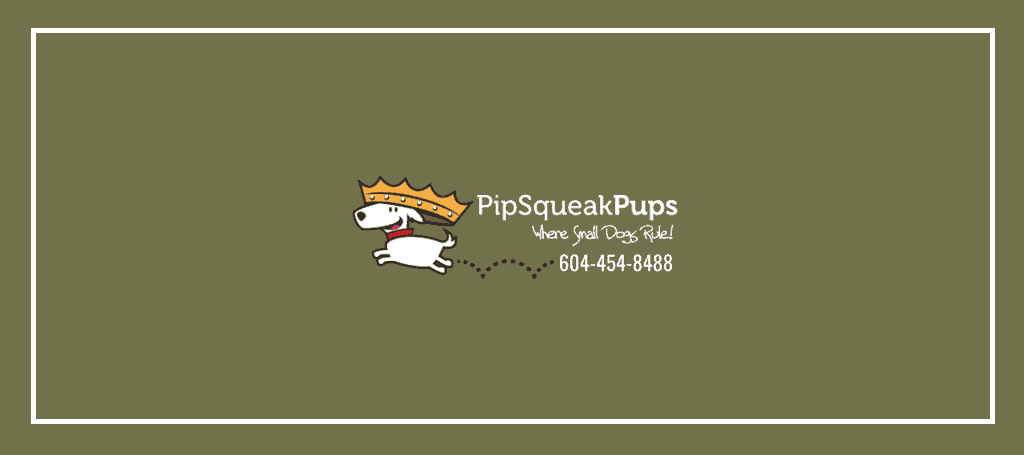 Pipsqueak Pups Doggy Daycare & Boutique's Banner