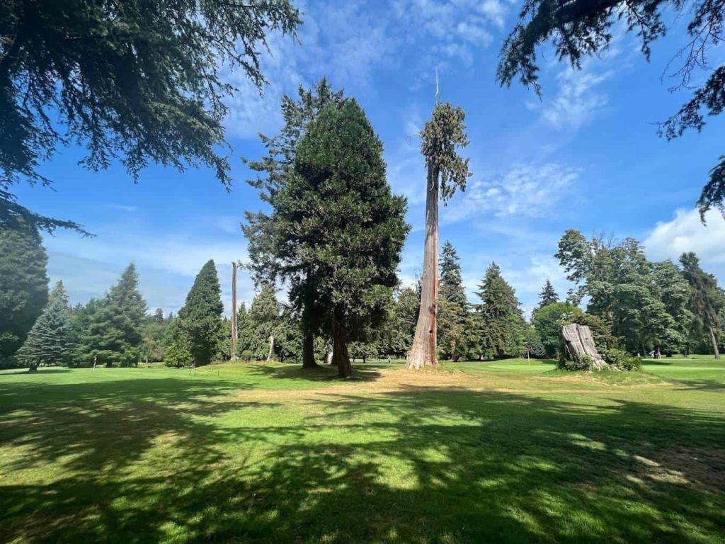 Play Golf at the Stanley Park Pitch & Putt Golf Course