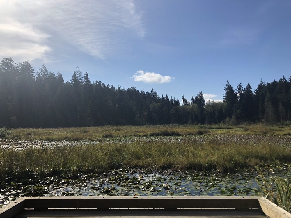 Walk along Beaver Lake