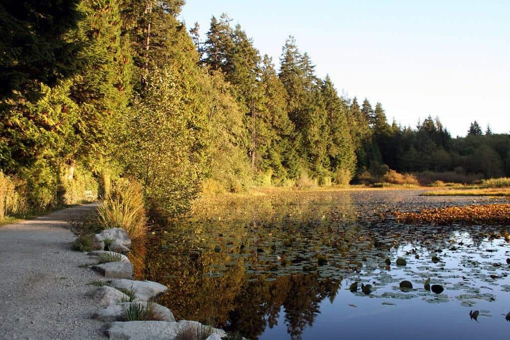 Walk along Beaver Lake