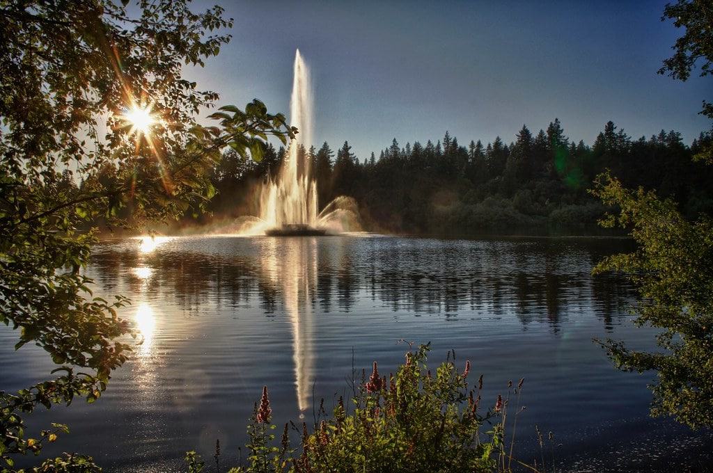 Walk around Lost Lagoon