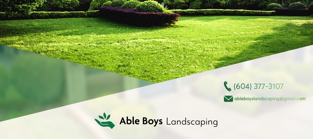 Able Boys Landscaping