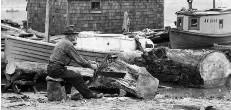 Bases of graves were used to build the Seawall