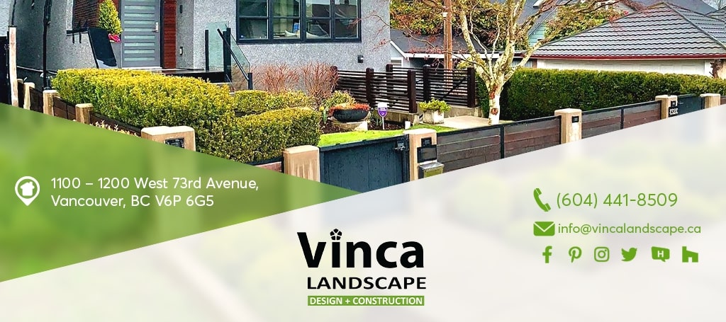 Vinca Landscape