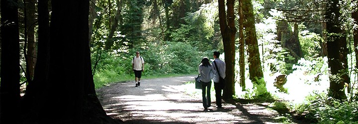 Visit Stanley Park