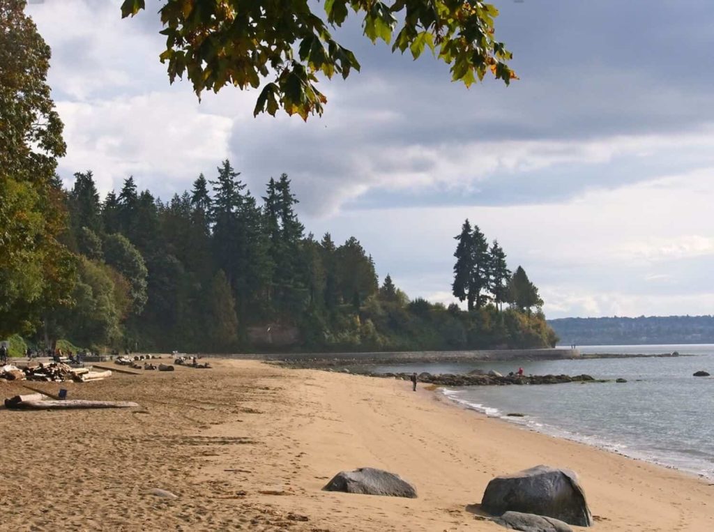 Enjoy a Swim at North Beach