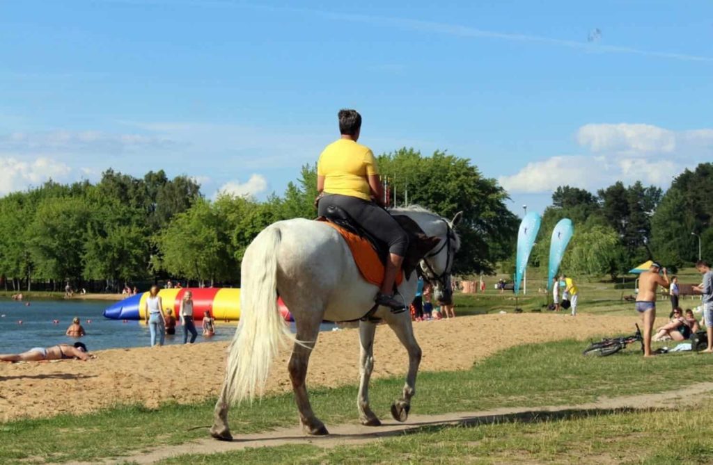 Ride a Horse at the Park