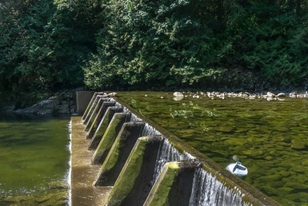 Visit Capilano Salmon Hatchery