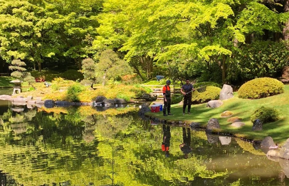 People generally walk slow around the garden