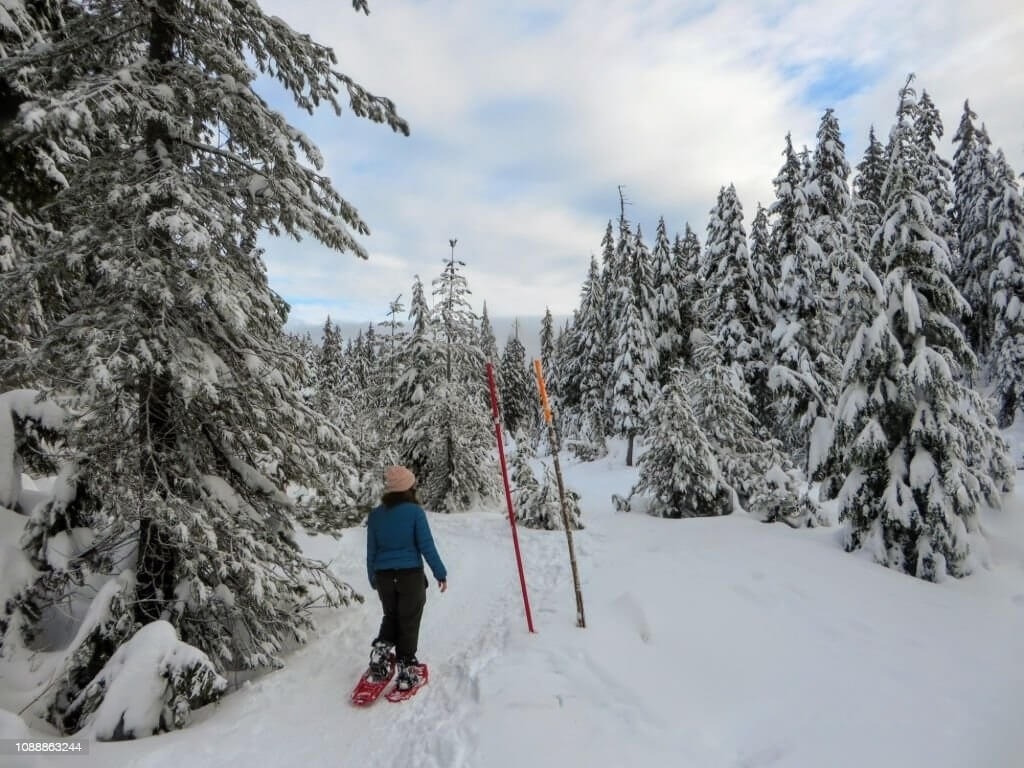 Ski on the Grouse Mountain