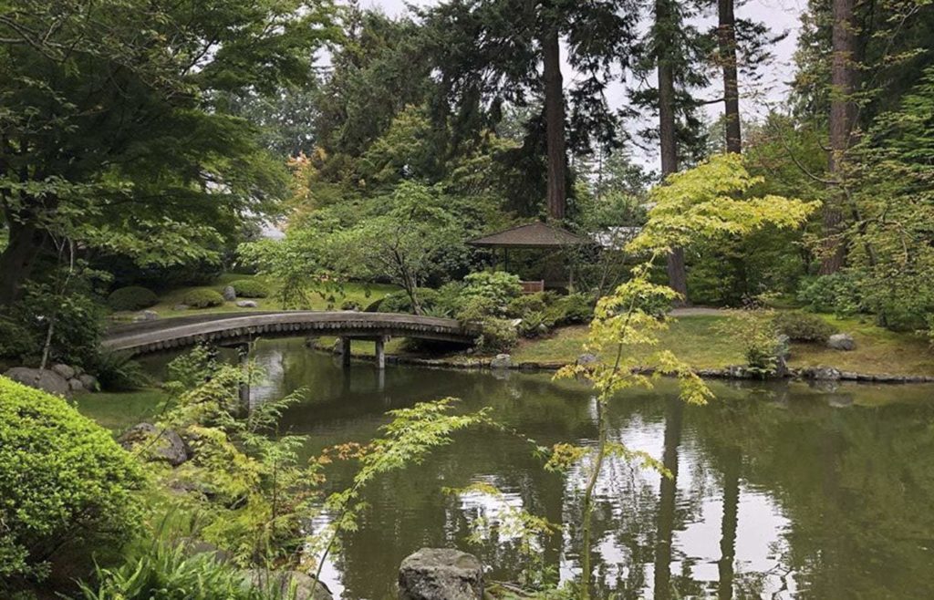 There are two ponds in the garden