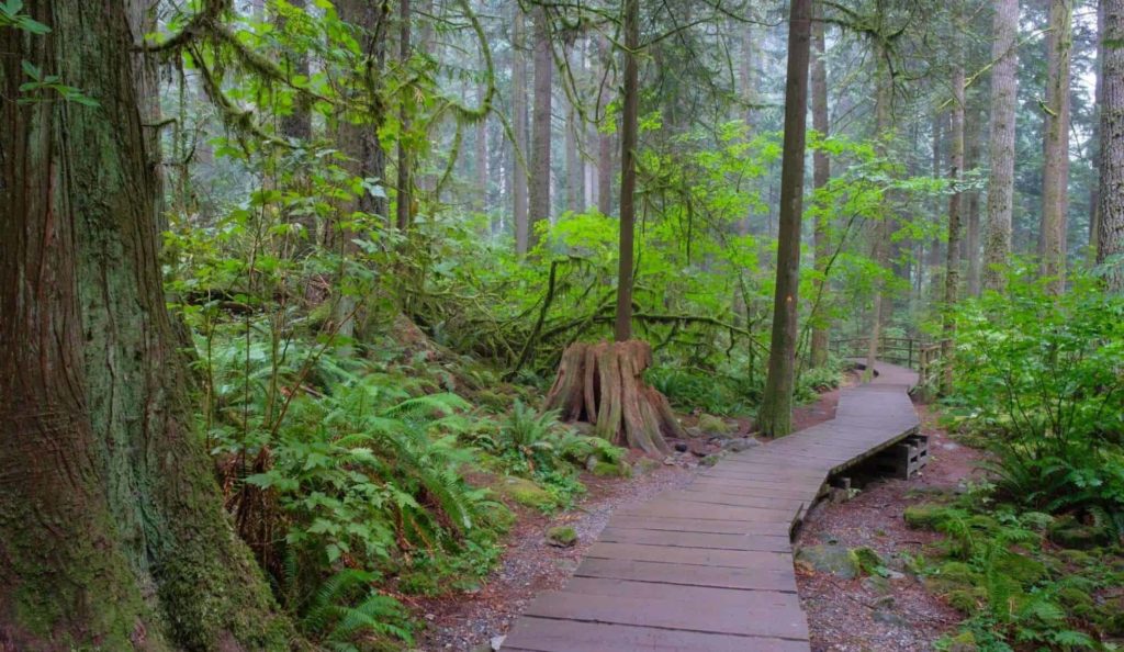 What is the Baden Powell Trail