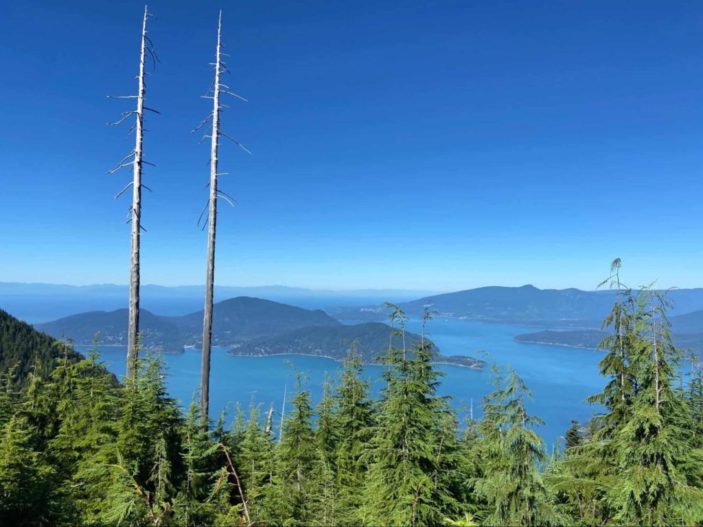 Bowen Lookout Winter Trail