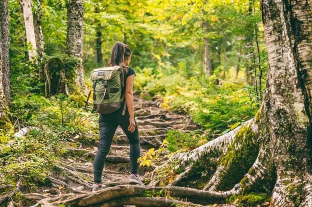 Can you hike the Burnaby Mountain