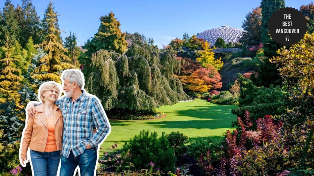 Elevate Your View from Queen Elizabeth Park