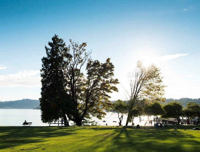 Have a Picnic at the Belcarra Picnic Area