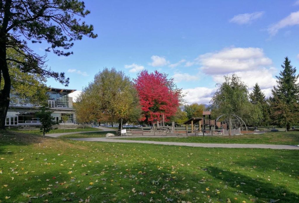 Hit the Trout Lake Trails