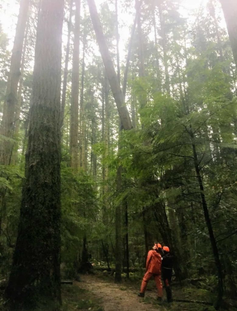 Pacific Spirit Regional Park