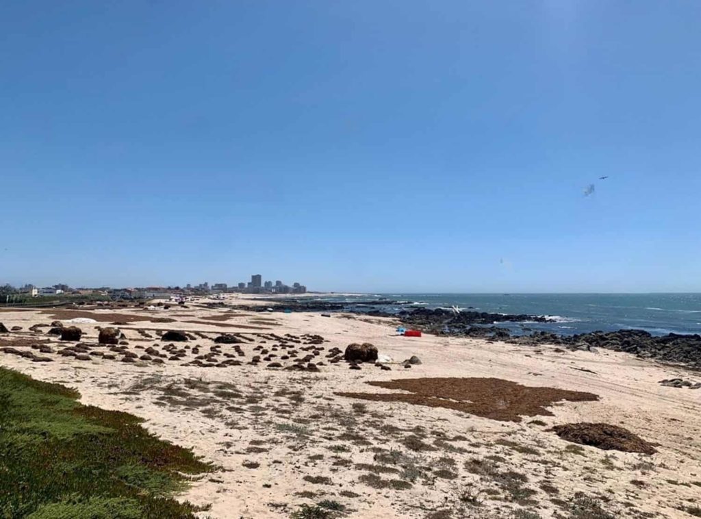 Sandy Cove Park Beach