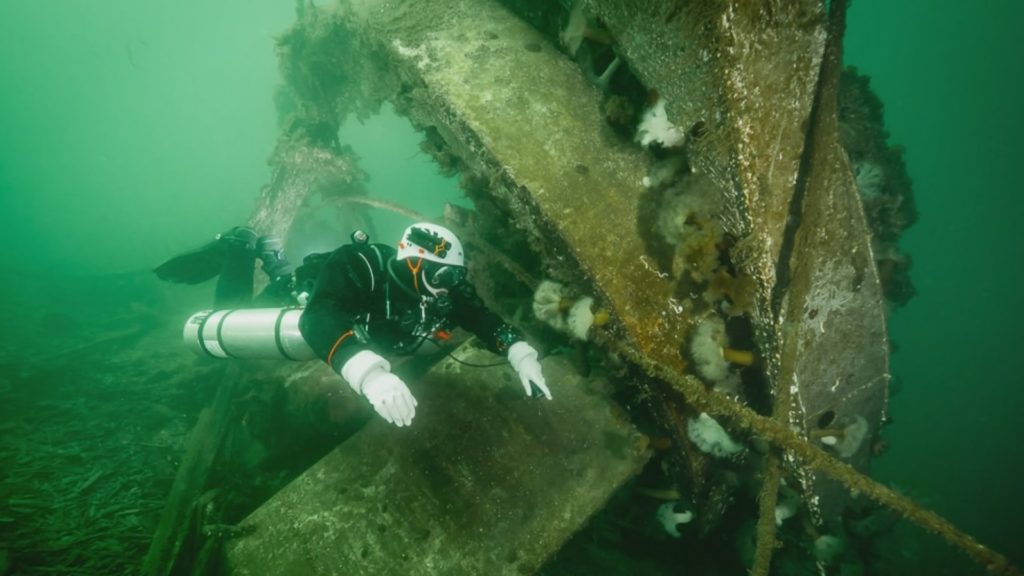 Scuba Dive in Howe Sound